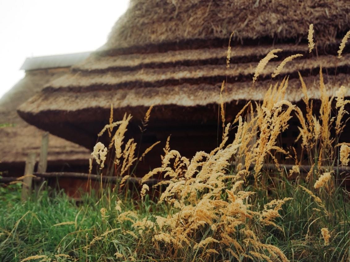 An artist's reconstruction of Neolithic farmers cultivating crops near ancient settlements in Turkey, highlighting early agricultural practices.