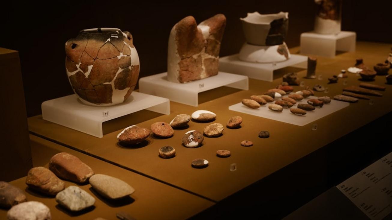 Neolithic tools and artifacts displayed in a modern museum, inspired by findings from the Taş Tepeler project