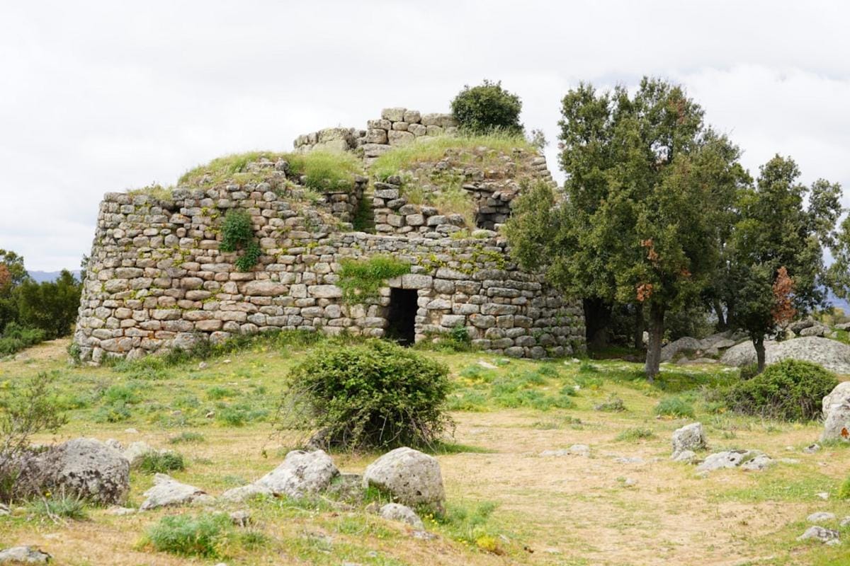 An archaeological site from the Neolithic period showing early settlements and farming tools in Turkey