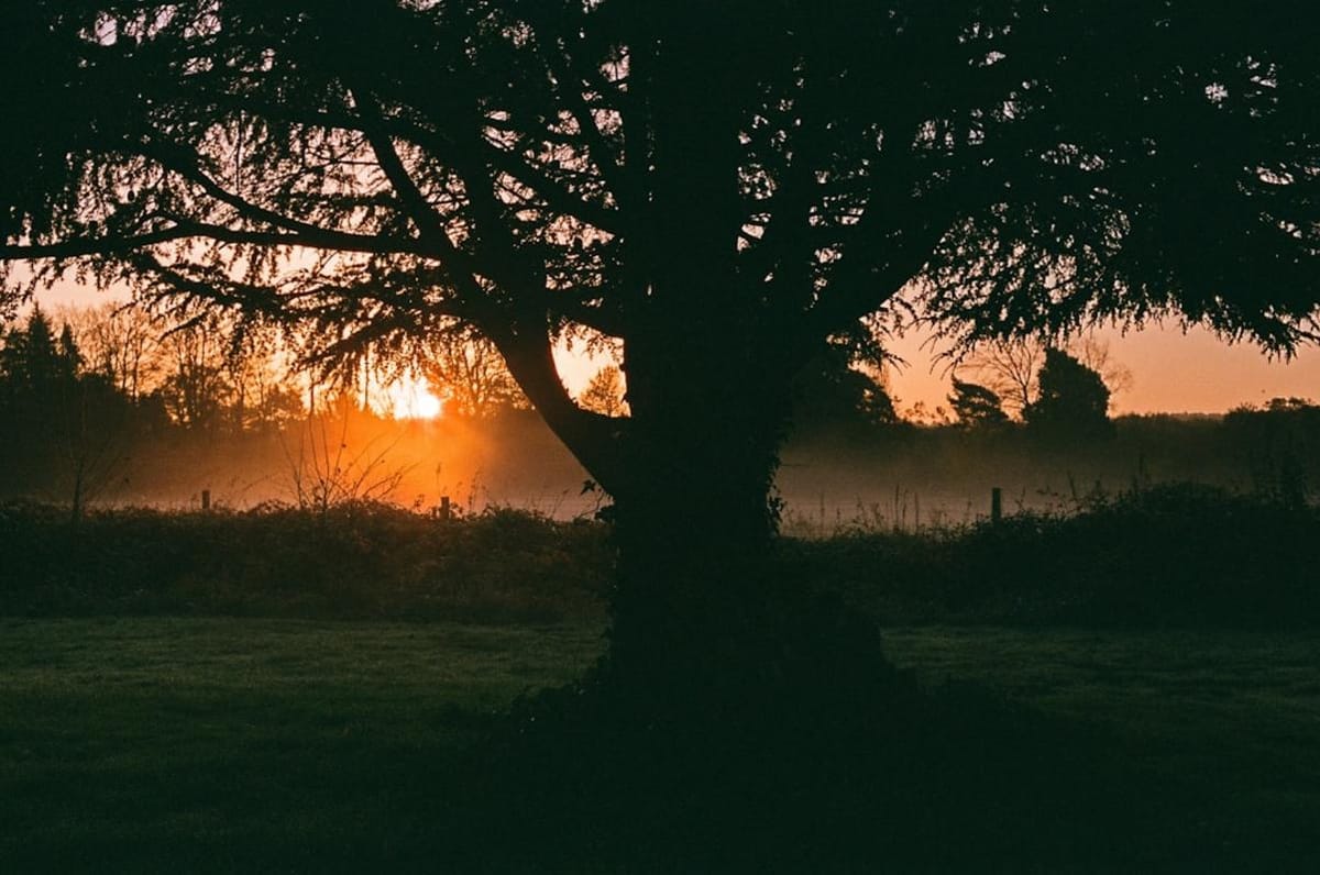 Unveiling Humanity's Origins Through Culture and the Neolithic Heritage of Turkey