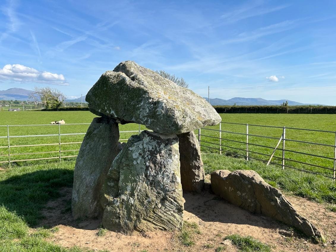 Unearthing Neolithic Culture Through the Taş Tepeler Project Illuminates Early Human Innovation