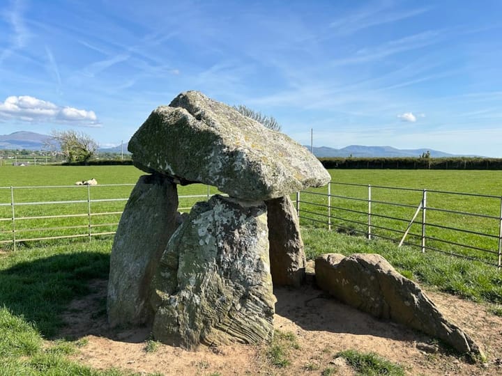 Unearthing Neolithic Culture Through the Taş Tepeler Project Illuminates Early Human Innovation